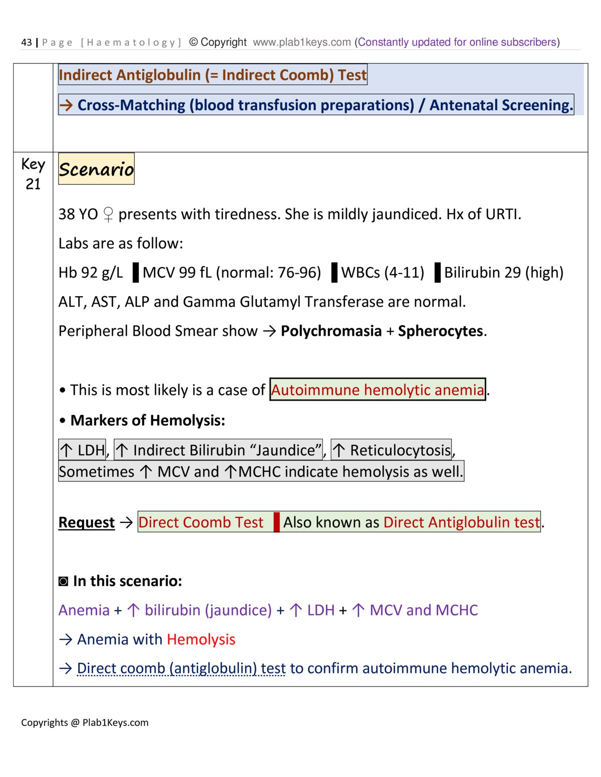 Haematology 23 Update Telegraph