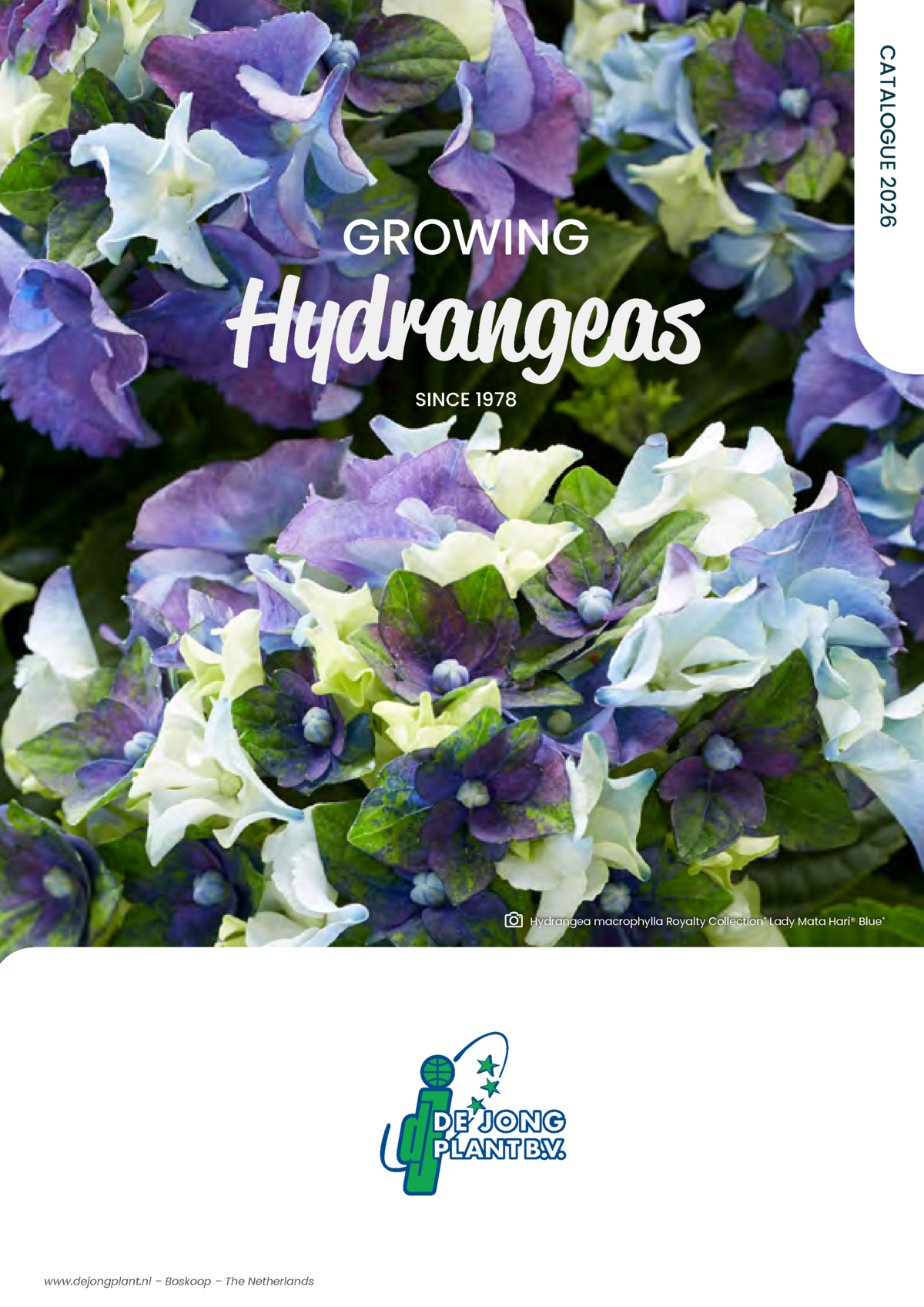 Catalogue | DejongplantBeeldbank